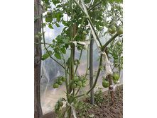 �������. ���� �����������������.