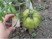 �������. ���� �����������������.