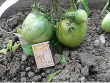 �������. ���� �����������������.