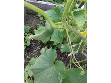 ��� ������ �������! 21.07.2014