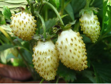 ��������� ����� ���������. ���� �� 10 ���� 150�