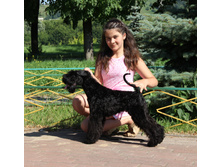 1-IMG_1269.JPG