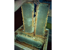 ��������� ��� ����