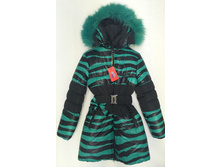 ������ �/� ���� Wewins ���. 13D