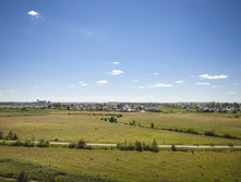_DSC5600.jpg