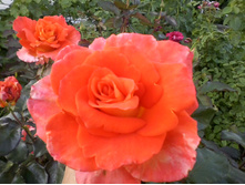 ����-0054.jpg