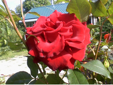 ����-0066.jpg