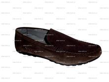 Eece_2121_kor_zamsha_650�