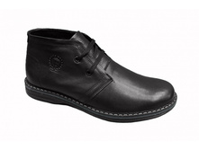 ���. 8817 ������ ����