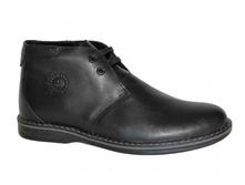 ���. 8819 ������ ����