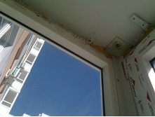 ������� ���������.jpg