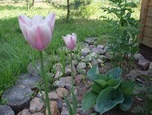 P5247777.JPG