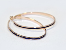 J10024  215���