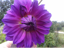 ������ ������ �� ������� �����������! ���� 2014