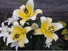 "��������" ����� - ����� �� ���� ����������!!! ���� 2014