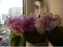 P1120152.JPG