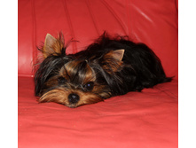 1-IMG_1490.JPG
