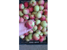 ������ - ������� �����