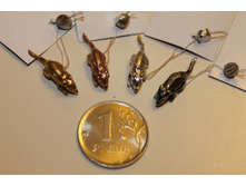 ����������� �����..jpg