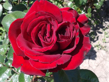 ����-0920 (2).jpg