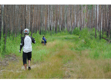 ����, �����!