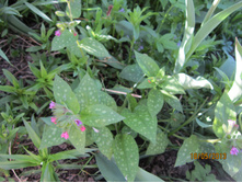 �������� ��������� 100���