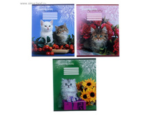 ������� 12� ������ My little kitty ���.511947 ���� 4,67 ��� ������ �� 20 ��! ������!.jpg