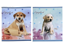 ������� 12� ������ ����� ���. 579626 ���� 4,24 ������ �� 20 ��! ������!.jpg