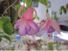 ����� �� ����