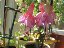 ����� �� ����