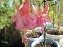 ����� �� ����