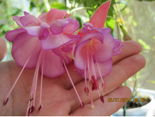 ����� �� ����