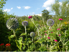 P1020791.JPG ��������� 30�