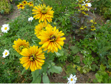 P1020792.JPG�������� ��������