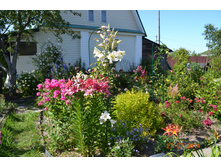 �����-������