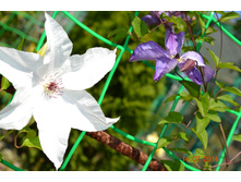 20��, ������ ��������!