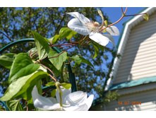 ����� ������ � ����