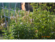 ������������� ������ � ���� ���� ����