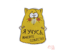 �������� � �����, ������ �������!, ���� 50���