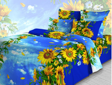 3807 ������ ������1-2.jpg