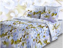 3866 �������� ���� 1-2.jpg