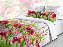 3980 ����� ��� 1-2.jpg