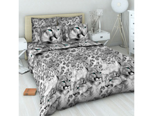 4237 ����-2.jpg