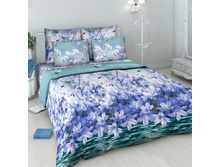 4239 ������ ������������ ���2-2.jpg