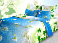 ������ 3724-2.jpg