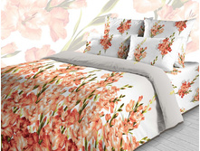 3685��� 2-2.jpg