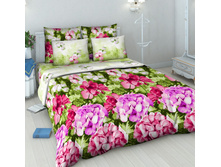 4214 ������-2.jpg