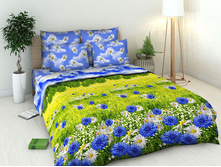 4268 ����������� ����(���).jpg