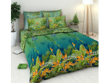 4197 ����-2.jpg