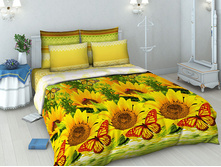 4274 ����������(���).jpg